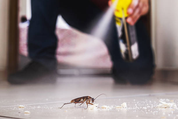 Best Pest Removal Services  in Red Bank, TN